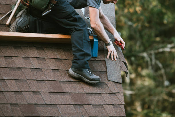 Best Metal Roofing Contractor  in South Daytona, FL